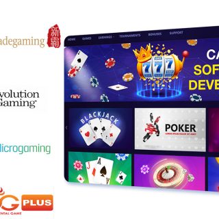 Online Gambling Software Providers in Singapore (Top Picks)