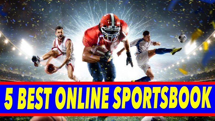 Best Online Sportsbook ⛹🏻‍♂️Top 5 Online Sportsbooks in 2022 🥊 Win Big Sports